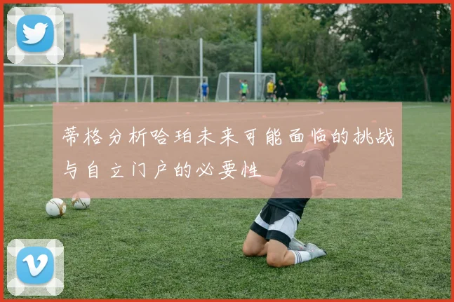 蒂格分析哈珀未来可能面临的挑战与自立门户的必要性