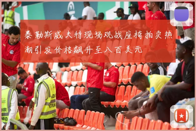 泰勒斯威夫特现场观战座椅拍卖热潮引发价格飙升至八百美元